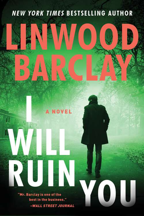 Book cover of I Will Ruin You: A Novel