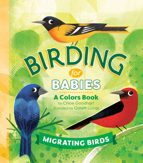 Book cover of Birding for Babies: A Colors Book