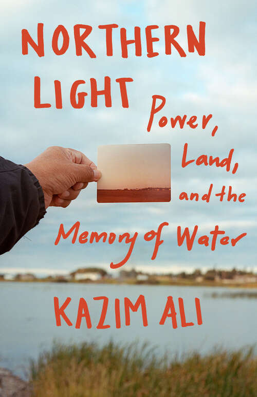Book cover of Northern Light: Power, Land, and the Memory of Water