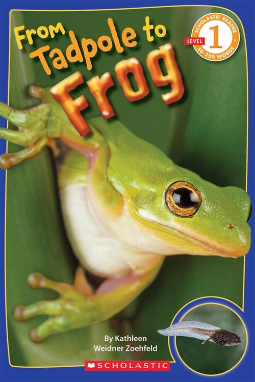 Book cover of From Tadpole To Frog (Scholastic Reader Level 1 Ser.)