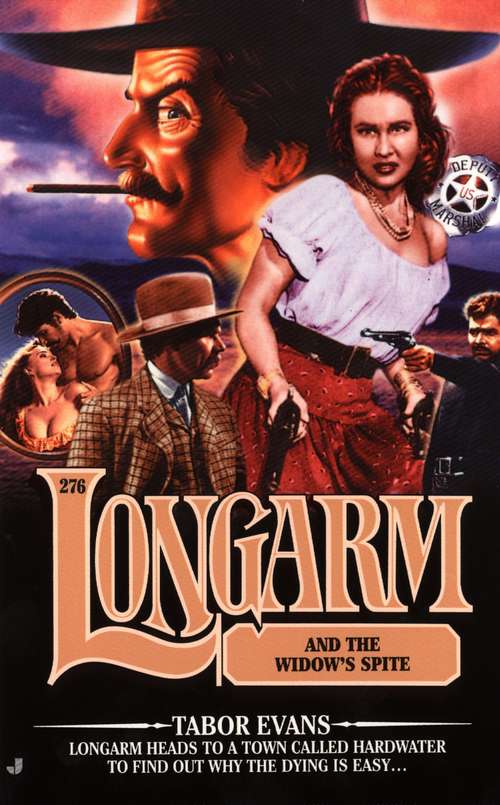 Book cover of Longarm and the Denver Executioners (Longarm #276)