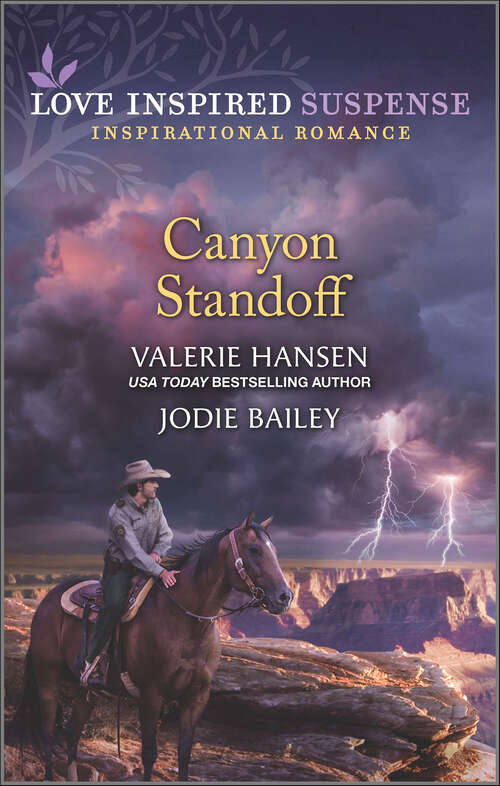 Book cover of Canyon Standoff: Canyon Under Siege / Missing In The Wilderness (Original) (Mills And Boon Love Inspired Suspense Ser.)