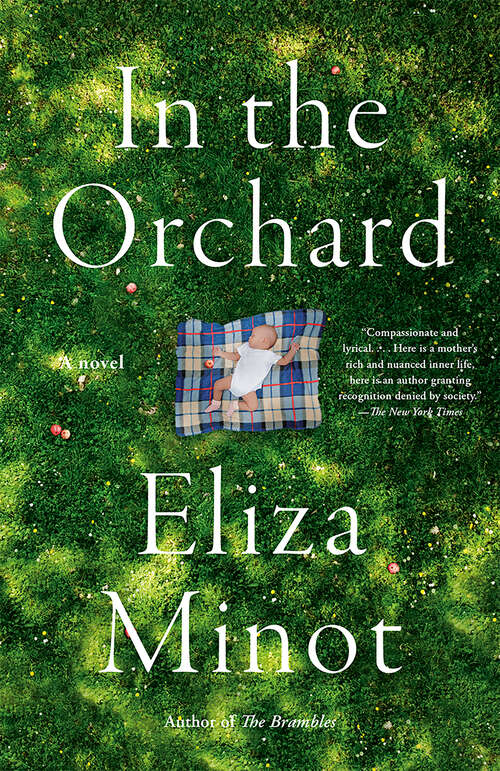 Book cover of In the Orchard: A novel