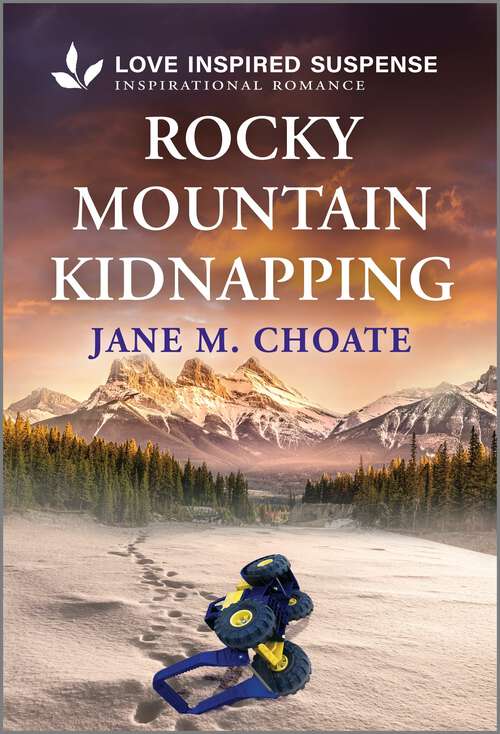 Book cover of Rocky Mountain Kidnapping (Original)