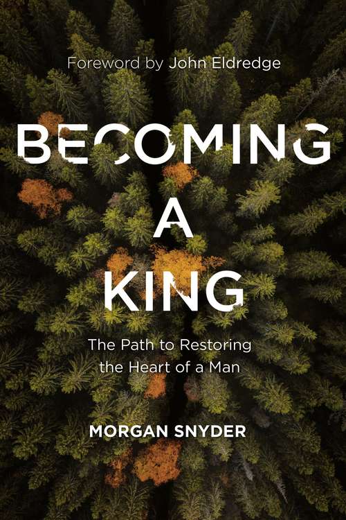 Book cover of Becoming a King: The Path to Restoring the Heart of a Man
