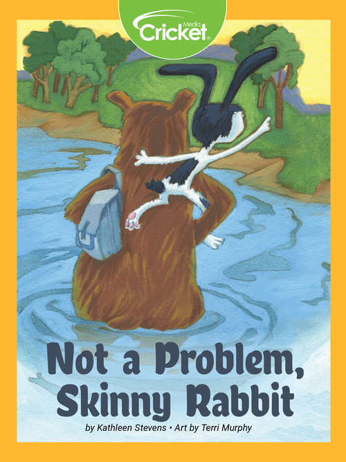 Book cover of Not a Problem, Skinny Rabbit