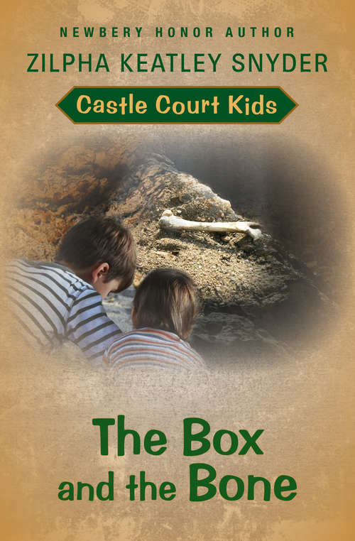 Book cover of The Box and the Bone