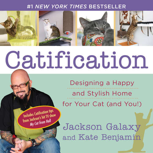 Book cover of Catification