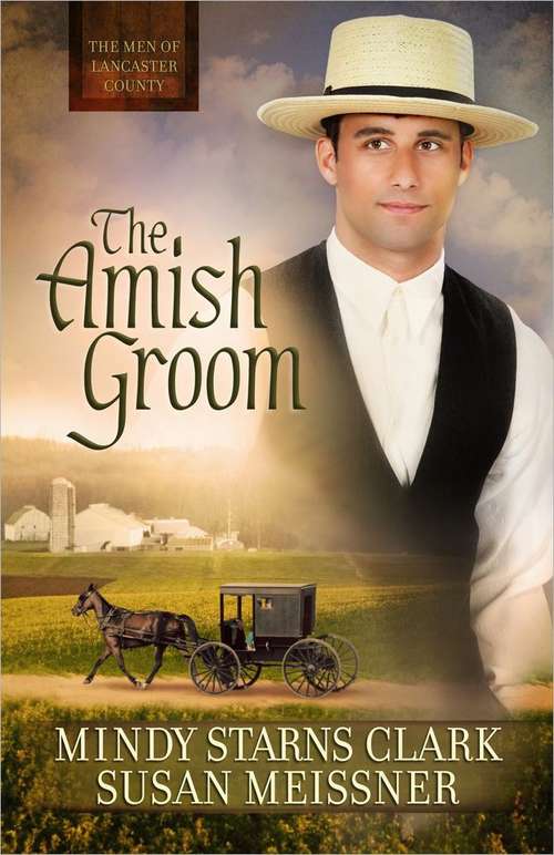 Book cover of The Amish Groom (The Men of Lancaster County #1)
