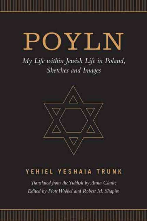 Book cover of Poyln: My Life within Jewish Life in Poland, Sketches and Images