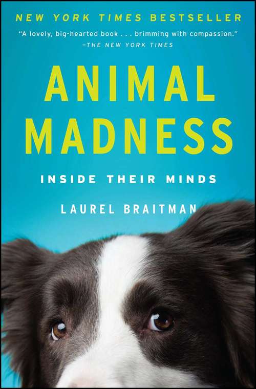 Book cover of Animal Madness: How Anxious Dogs, Compulsive Parrots, and Elephants in Recovery Help Us Understand Ourselves