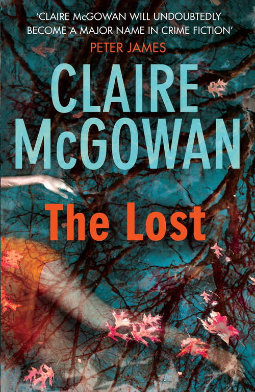 The Lost: A gripping Irish crime thriller with explosive twists (Paula Maguire #1)