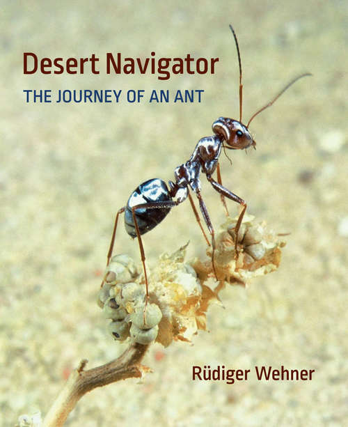 Book cover of Desert Navigator: The Journey of the Ant