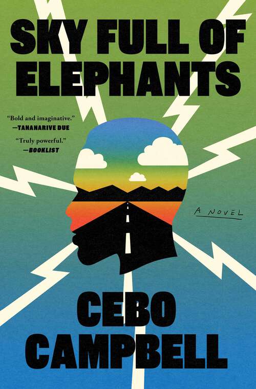 Book cover of Sky Full of Elephants: A Novel