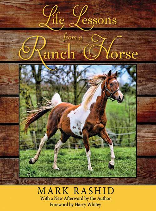 Book cover of Life Lessons from a Ranch Horse