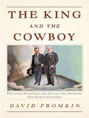 Book cover of The King and the Cowboy