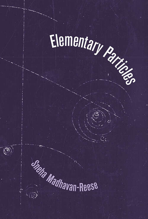 Book cover of Elementary Particles