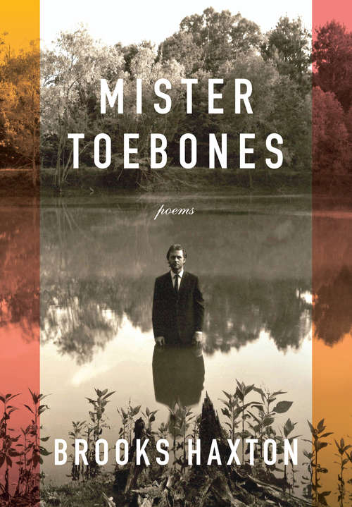 Book cover of Mister Toebones: Poems