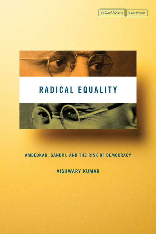 Book cover of Radical Equality: Ambedkar, Gandhi, and the Risk of Democracy