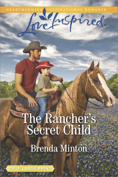 The Rancher's Secret Child (Bluebonnet Springs)