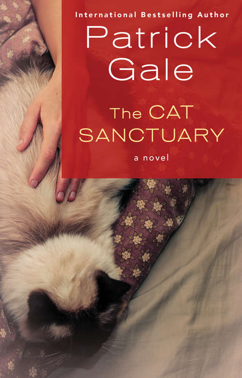 The Cat Sanctuary: A Novel