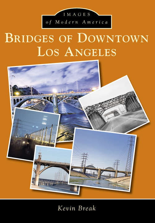 Book cover of Bridges of Downtown Los Angeles