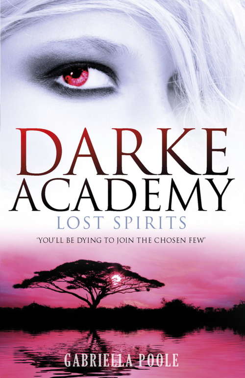 Book cover of Darke Academy: Lost Spirits (Darke Academy Ser. #4)