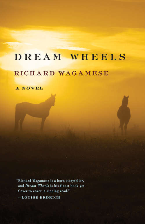 Book cover of Dream Wheels