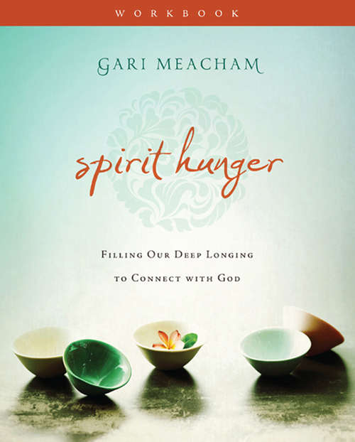 Spirit Hunger Workbook: Filling Our Deep Longing to Connect with God