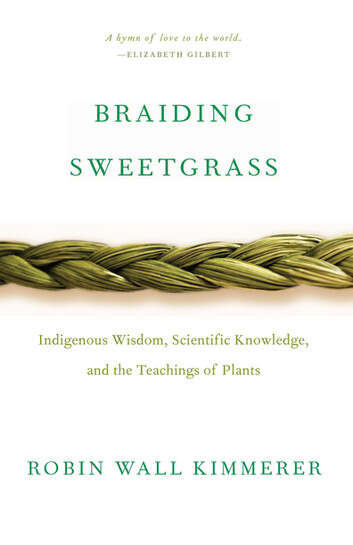 Book cover of Braiding Sweetgrass: Indigenous Wisdom, Scientific Knowledge And The Teachings Of Plants