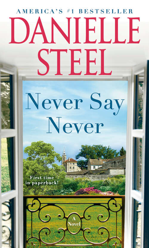 Book cover of Never Say Never: A Novel