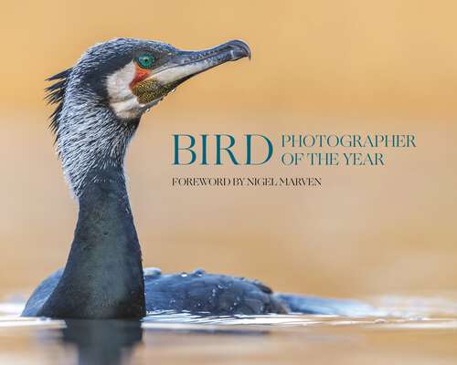 Book cover of Bird Photographer of the Year: Collection 10
