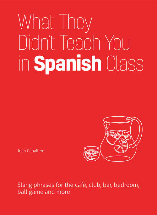 Book cover of What They Didn't Teach You in Spanish Class: Slang Phrases for the Cafe, Club, Bar, Bedroom, Ball Game and More (Dirty Everyday Slang)