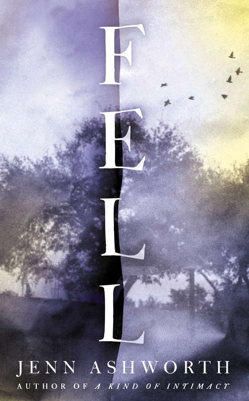 Book cover of Fell