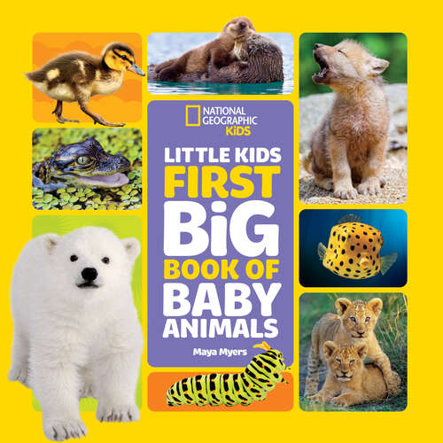 Book cover of National Geographic Little Kids First Big Book of Baby Animals (National Geographic Little Kids First Big Books)