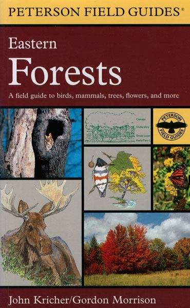 Eastern Forests