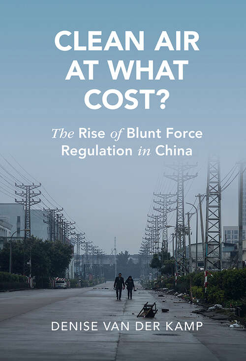 Book cover of Clean Air at What Cost?: The Rise of Blunt Force Regulation in China (Cambridge Studies in Law and Society)