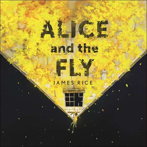 Alice and the Fly: 'a darkly quirky story of love, obsession and fear' Anna James