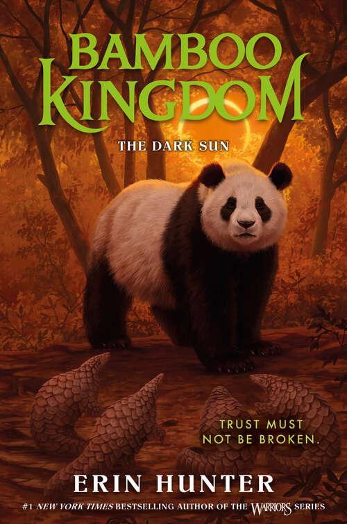 Book cover of Bamboo Kingdom #4: The Dark Sun (Bamboo Kingdom #4)