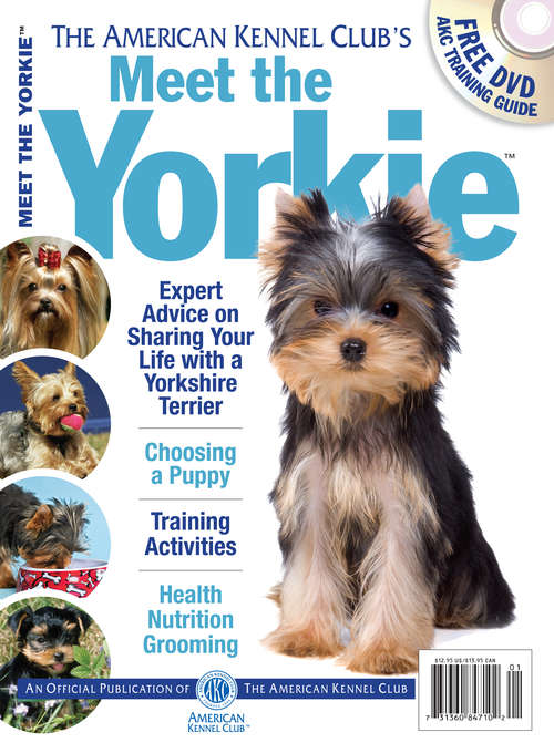 Book cover of Meet the Yorkie