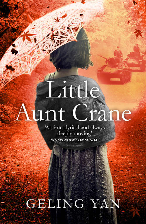 Book cover of Little Aunt Crane