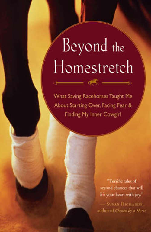 Book cover of Beyond the Homestretch