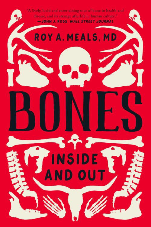 Bones: Inside And Out