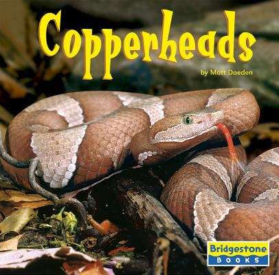 Book cover of Copperheads (World of Reptiles)
