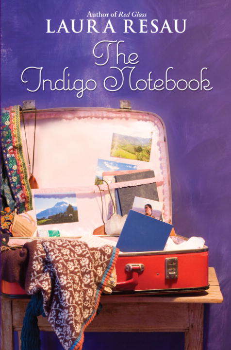 Book cover of The Indigo Notebook