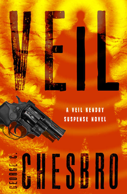 Book cover of Veil (The Veil Kendry Suspense Novels #1)