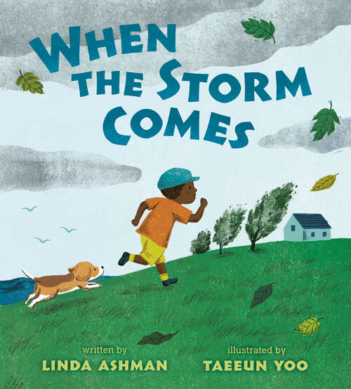 Book cover of When the Storm Comes