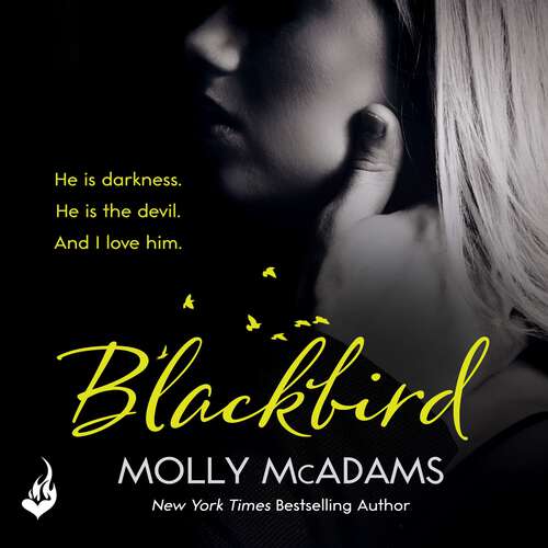 Blackbird: A story of true love against the odds (Redemption Series)