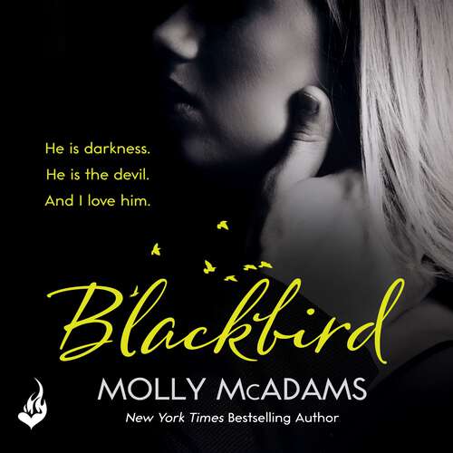 Book cover of Blackbird: A story of true love against the odds (Redemption Series)