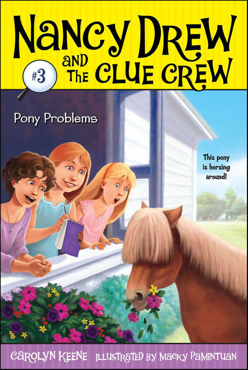 Book cover of Pony Problems: Sleepover Sleuths; Scream For Ice Cream; Pony Problems; The Cinderella Ballet Mystery; Case Of The Sneaky Snowman (3) (Nancy Drew and the Clue Crew #3)
